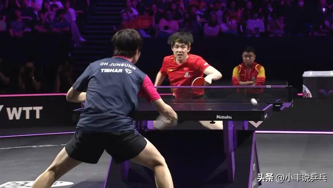 法国乒乓球队险胜日本乒乓球队,王皓爆发神勇 法国乒乓球队险胜日本乒乓球队,王皓爆发神勇